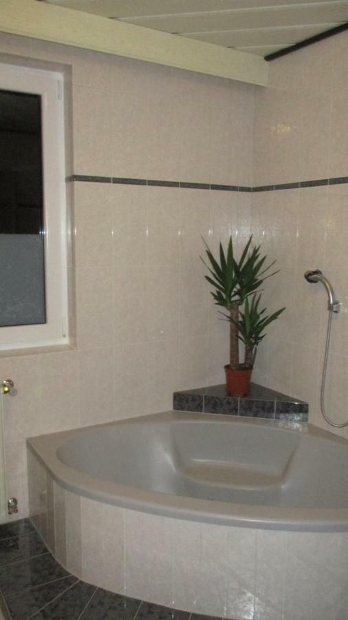 Wohnung In Haiding/Wels Ngoại thất bức ảnh